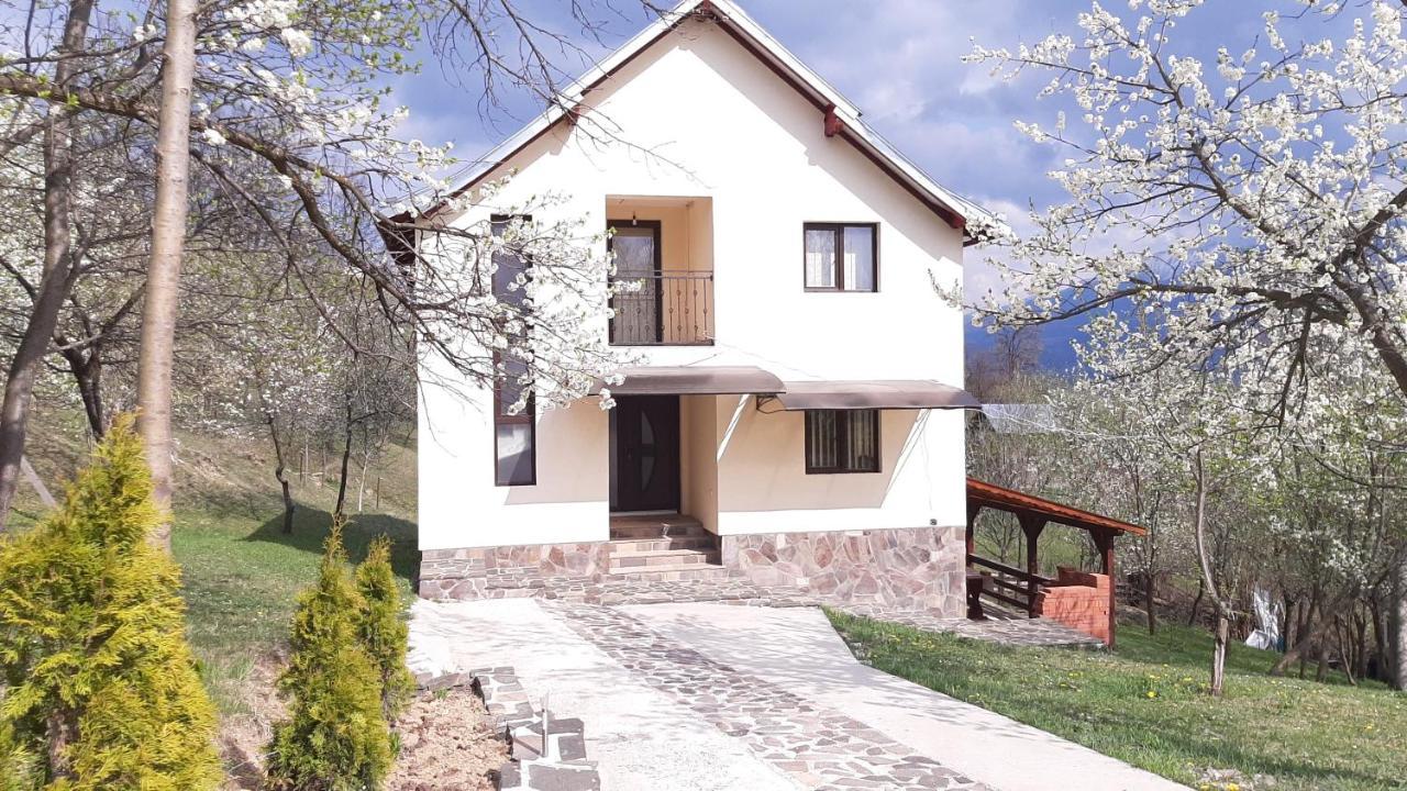 Villa Casa Flutar Moisei Exterior foto