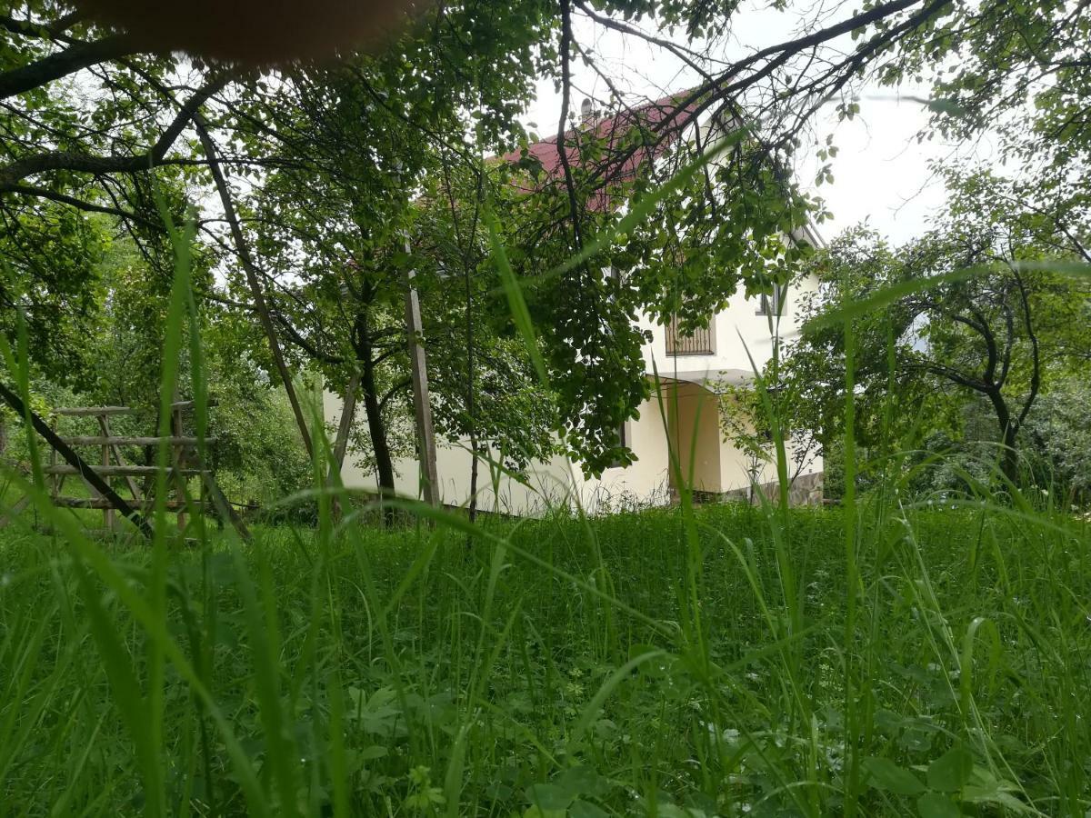 Villa Casa Flutar Moisei Exterior foto