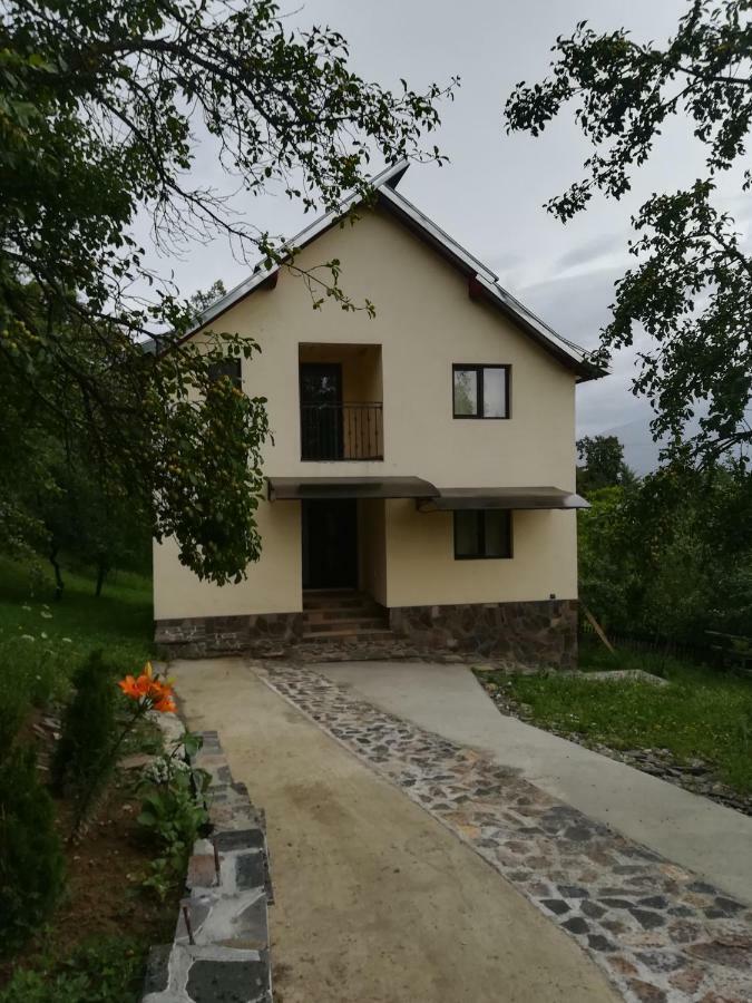 Villa Casa Flutar Moisei Exterior foto